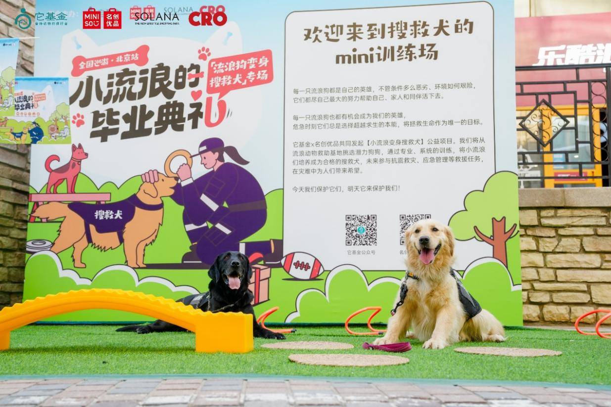 如图片无法显示，请刷新页面
