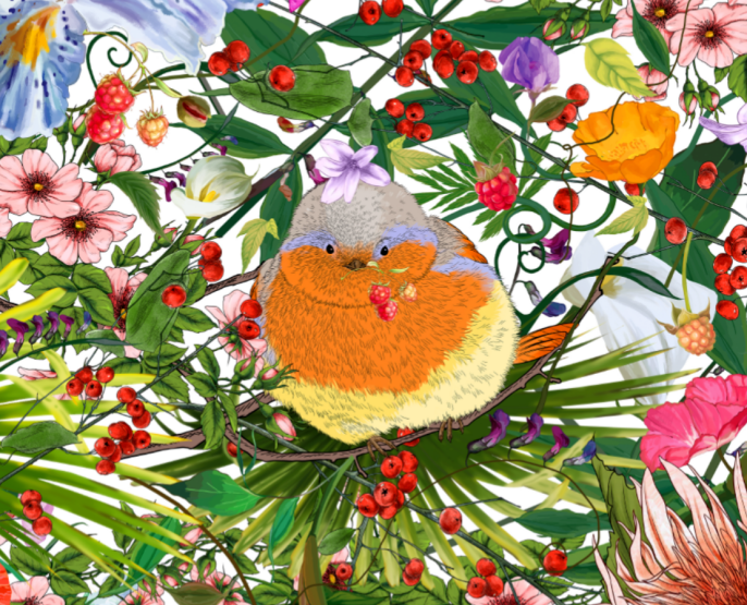 ͼƬ޷ʾˢҳ