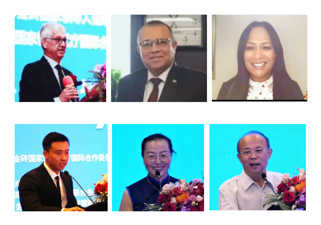 金砖+“多边主义”经济合作高峰论坛暨大健康产业领导人国际交流峰会在京举行