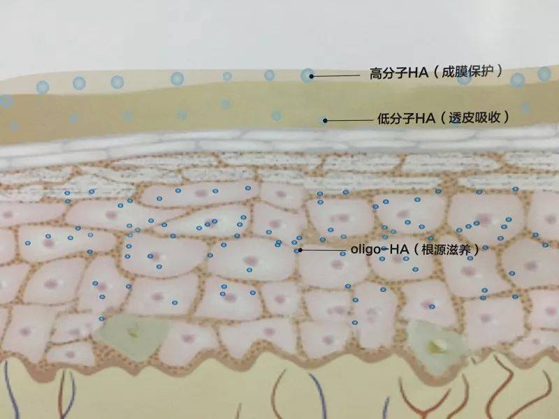 微信图片_20221108134419
